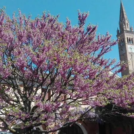 Borgo Conti B&B Nocleg ze śniadaniem Santa Lucia di Piave