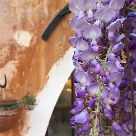 Borgo Conti B&B Nocleg ze śniadaniem